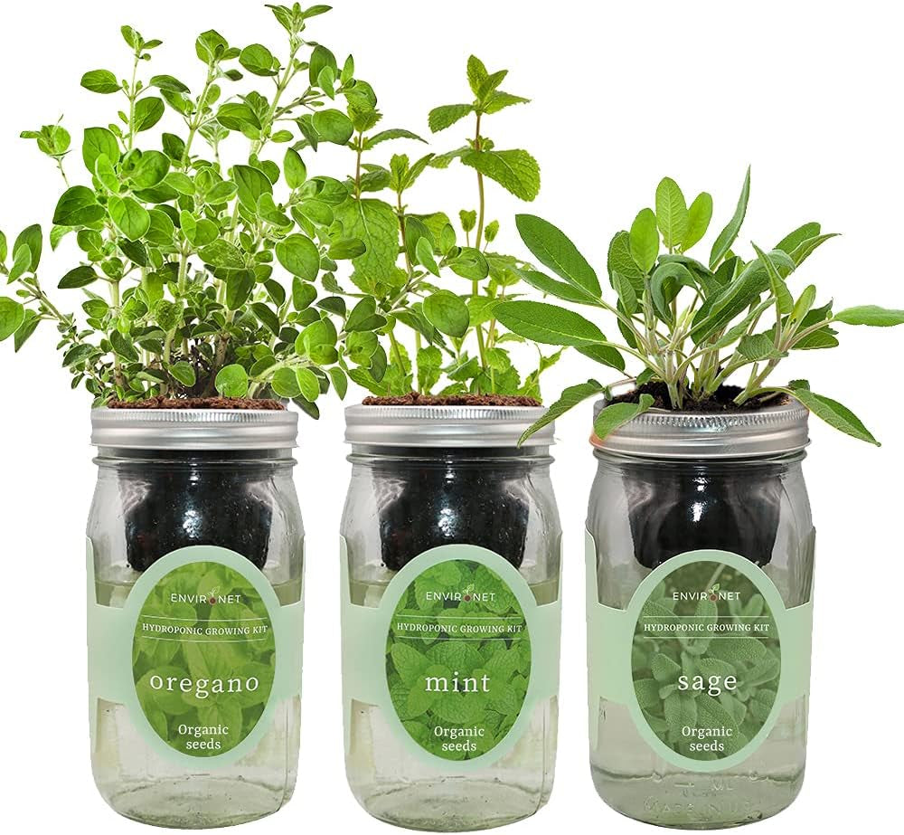 Hydroponic Herb Growing Kit Set, Self-Watering Mason Jar Herb Garden Starter Kit Indoor, Windowsill Herb Garden. Grow Your Own Herbs from Organic Seeds (Mint, Sage, Oregano)