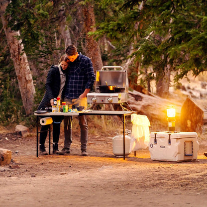 5 Foot Fold-In-Half Camping Folding Table, Indoor/Outdoor, Pumice (280875)